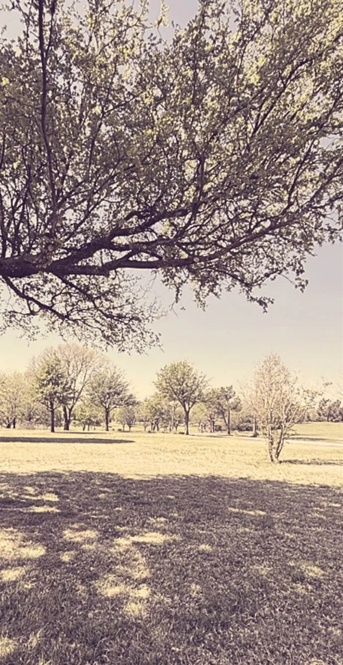 Open parkland on the Fort Worth campus site